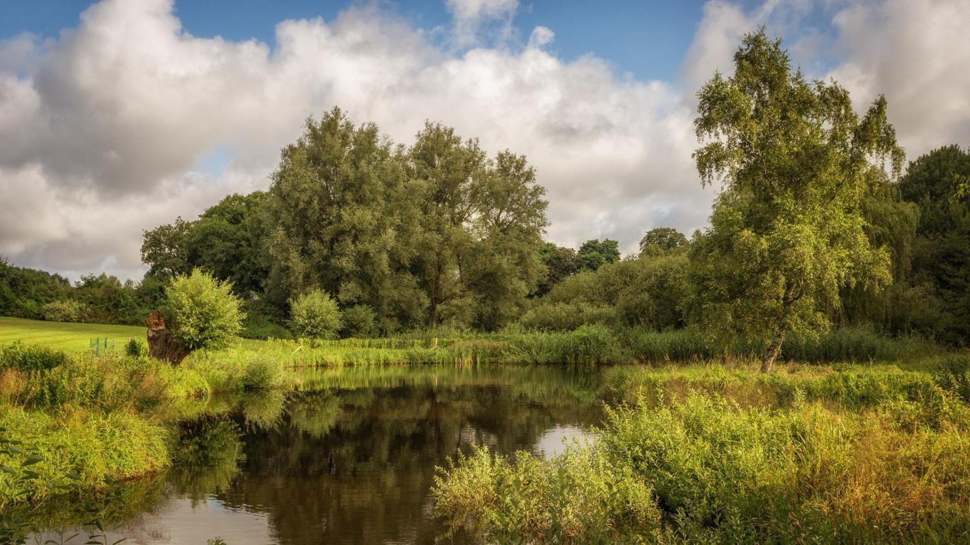 J1 Idyllisches Ferienhaus Mit Seeblick Julchendorf Bagian luar foto